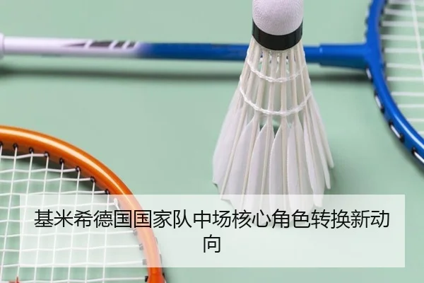 基米希德国国家队中场核心角色转换新动向